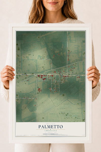 Map of Palmetto, Louisiana, 18 x 24 inch print in a white wood frame