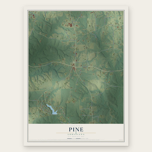 Pine, Louisiana map print, the full design