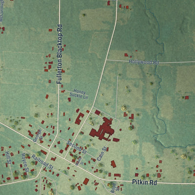 Close-up of the map of Pitkin, Louisiana print showing street and building detail