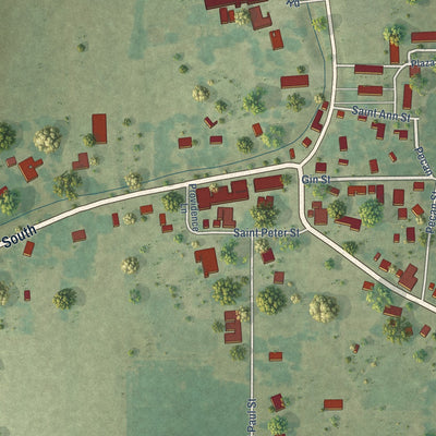 Close-up of the map of Plaucheville, Louisiana print showing street and building detail