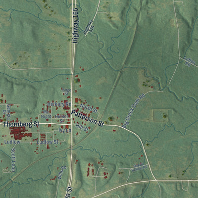 Close-up of the map of Pollock, Louisiana print showing street and building detail