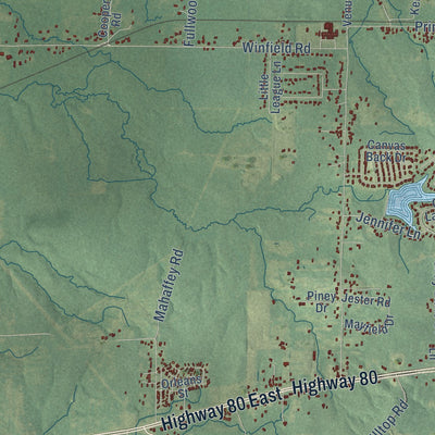 Close-up of the map of Princeton, Louisiana print showing street and building detail