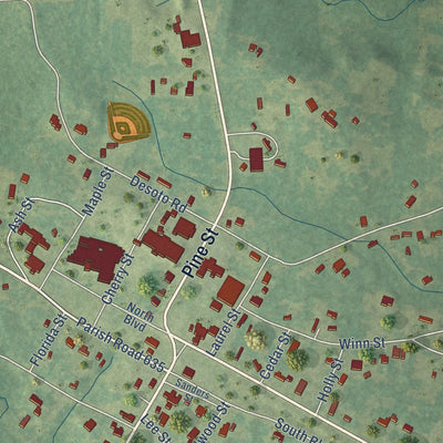 Close-up of the map of Provencal, Louisiana print showing street and building detail