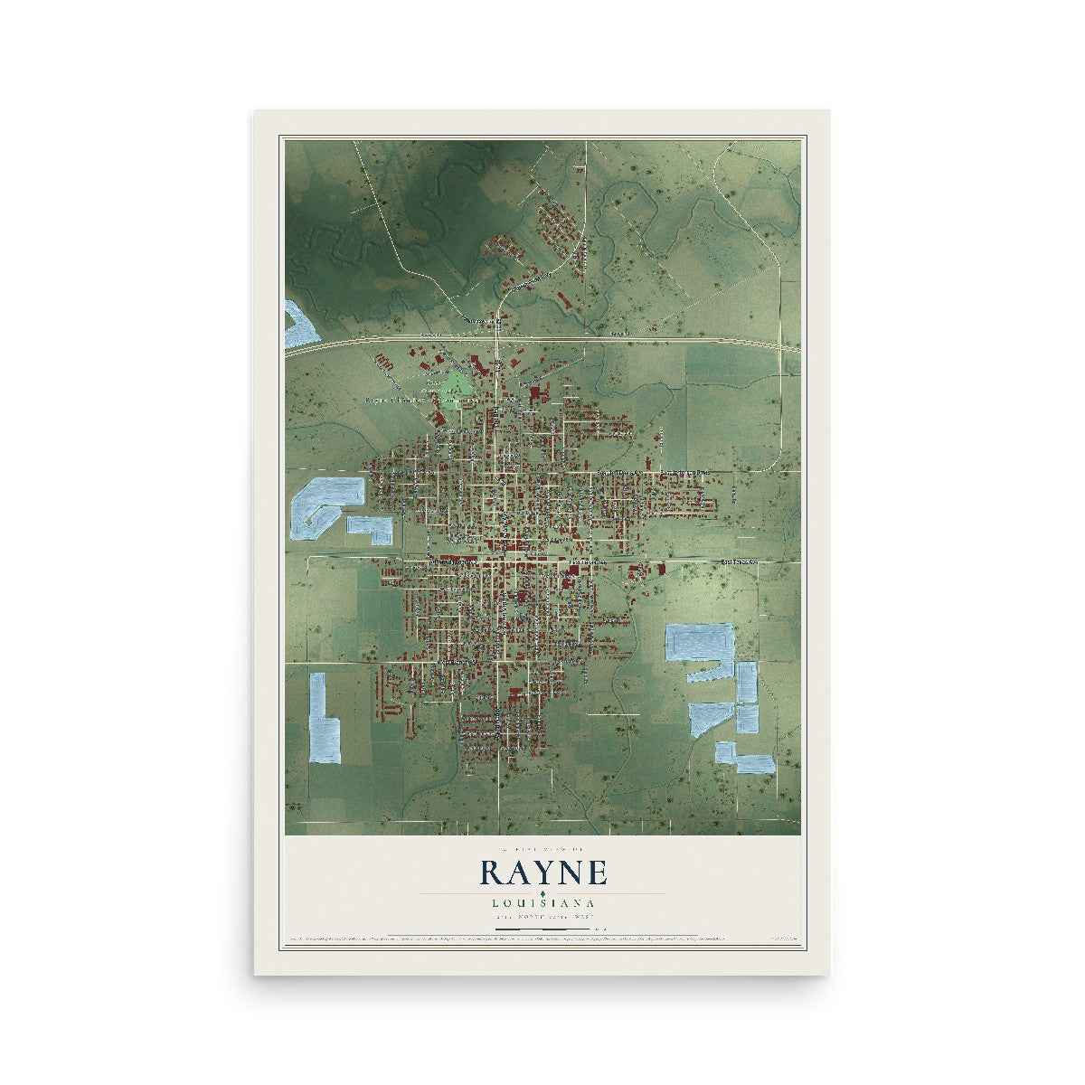 Map of Rayne, Louisiana, 12 x 18 inch unframed archival matte print