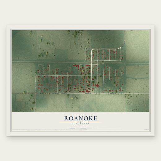 Roanoke, Louisiana map print, the full design