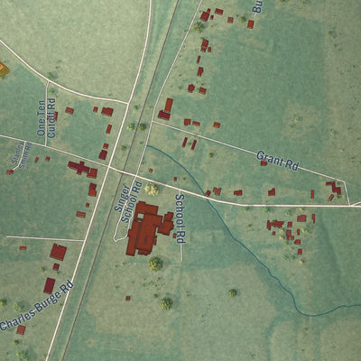 Close-up of the map of Singer, Louisiana print showing street and building detail
