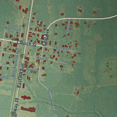 Close-up of the map of Slaughter, Louisiana print showing street and building detail