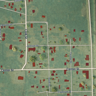 Close-up of the map of Tangipahoa, Louisiana print showing street and building detail