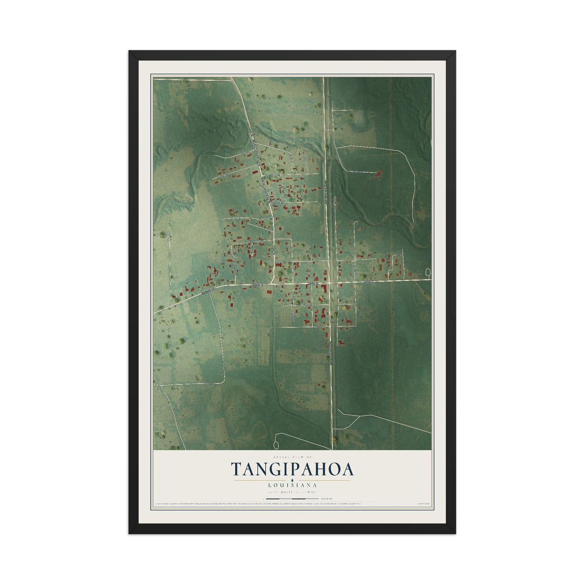 Map of Tangipahoa, Louisiana, 12 x 18 inch print in a black wood frame