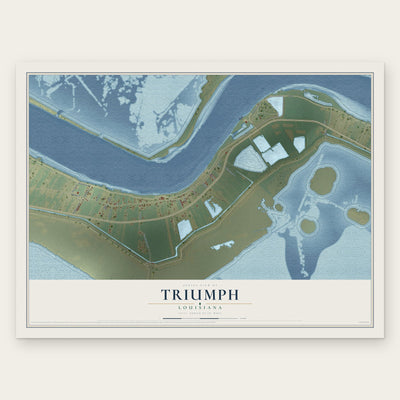 Triumph, Louisiana map print, the full design