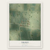 Trout, Louisiana map print, the full design