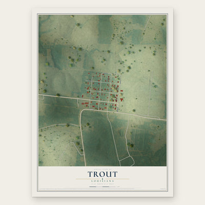 Trout, Louisiana map print, the full design