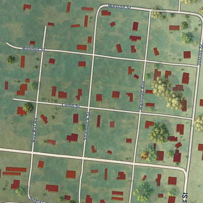Close-up of the map of Trout, Louisiana print showing street and building detail