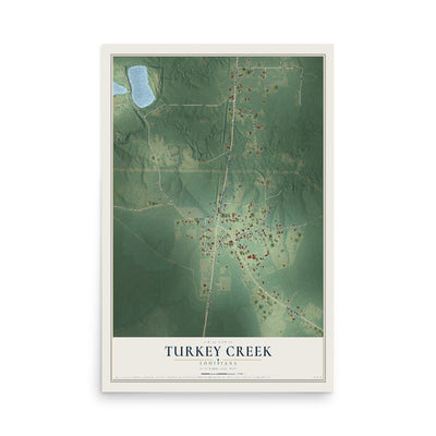 Map of Turkey Creek, Louisiana, 12 x 18 inch unframed archival matte print