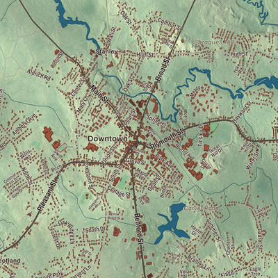 Street and neighborhood detail from the Bridgewater, Massachusetts map