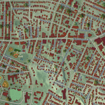 Close-up of the map of Brighton, Massachusetts print showing street and building detail