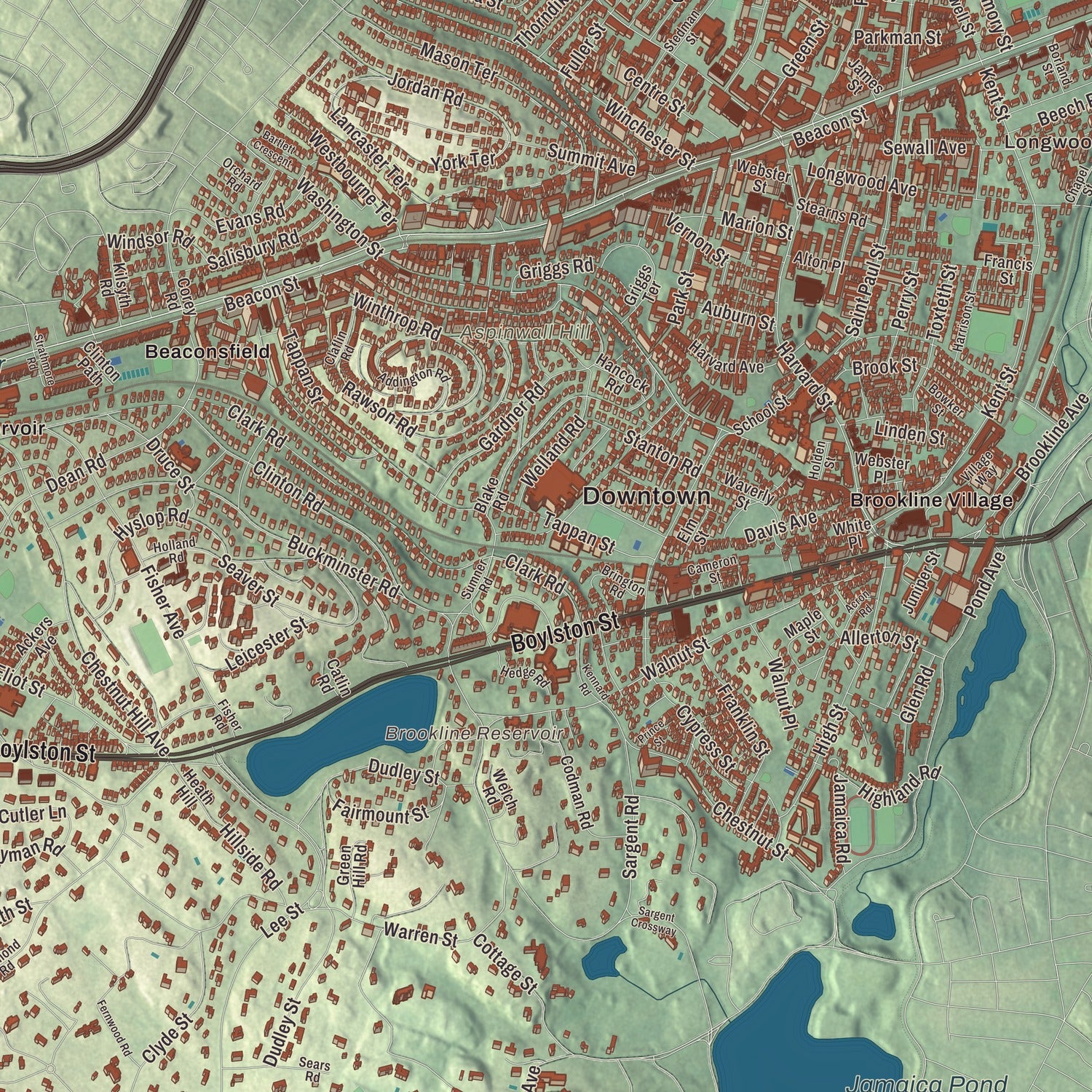 Street and neighborhood detail from the Brookline, Massachusetts map