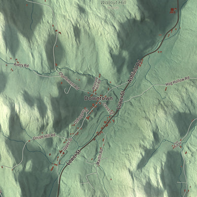 Street and neighborhood detail from the Buckland, Massachusetts map