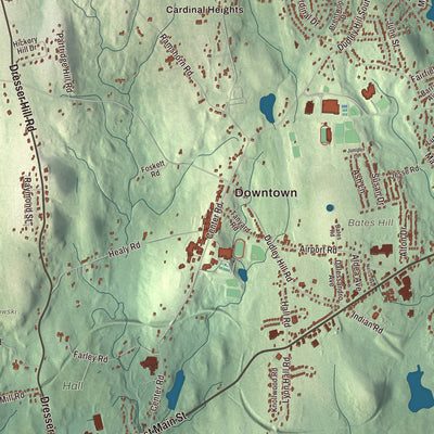 Street and neighborhood detail from the Dudley, Massachusetts map