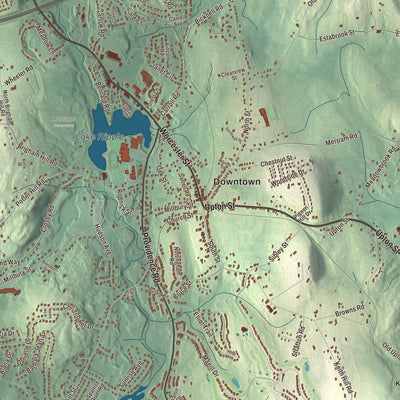 Street and neighborhood detail from the Grafton, Massachusetts map