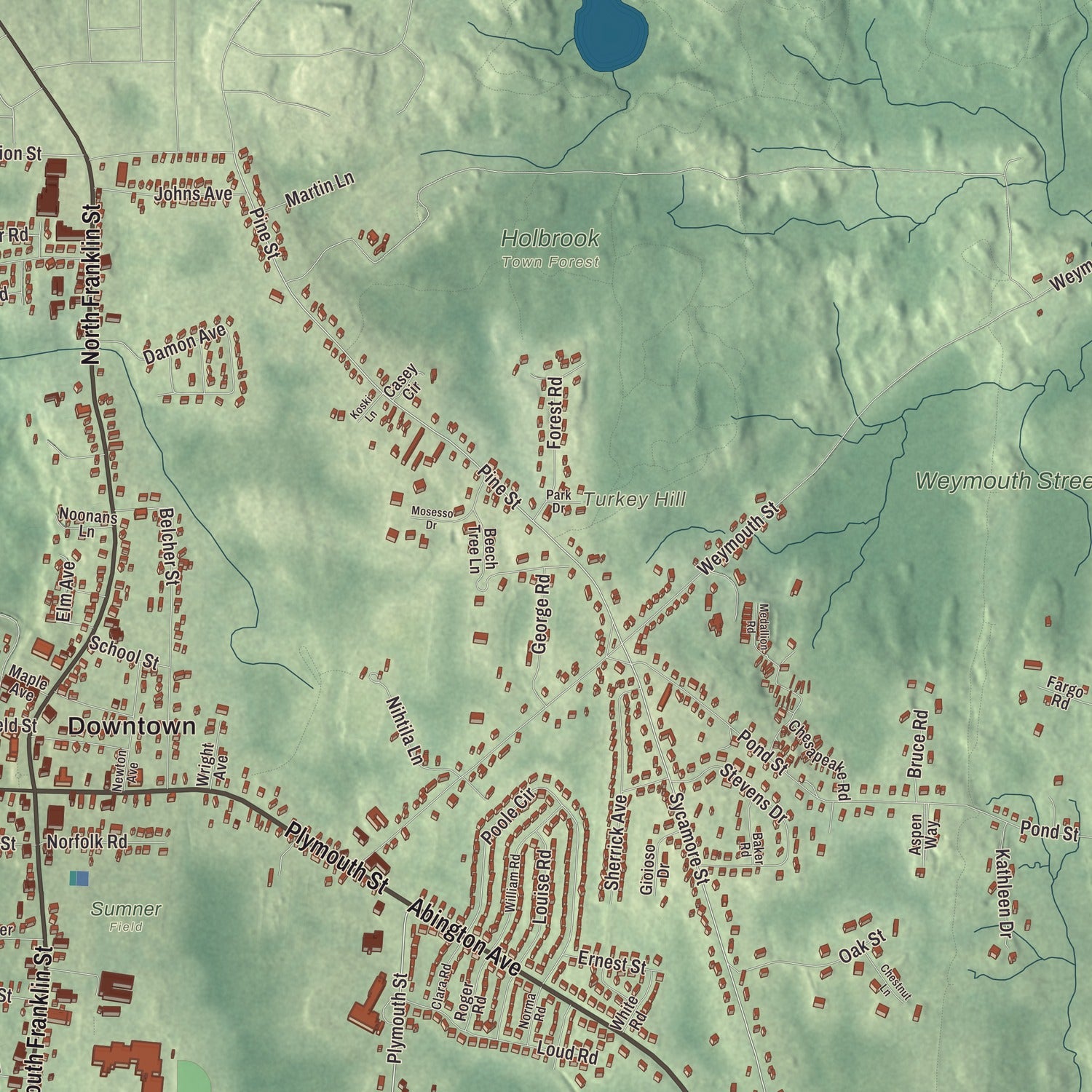 Terrain and local geography detail from the Holbrook, Massachusetts map