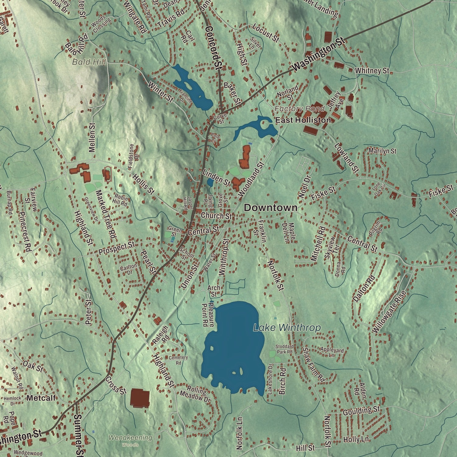 Street and neighborhood detail from the Holliston, Massachusetts map