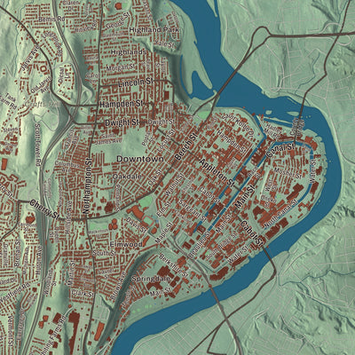 Street and neighborhood detail from the Holyoke, Massachusetts map