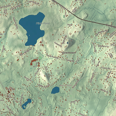 Street and neighborhood detail from the Lincoln, Massachusetts map