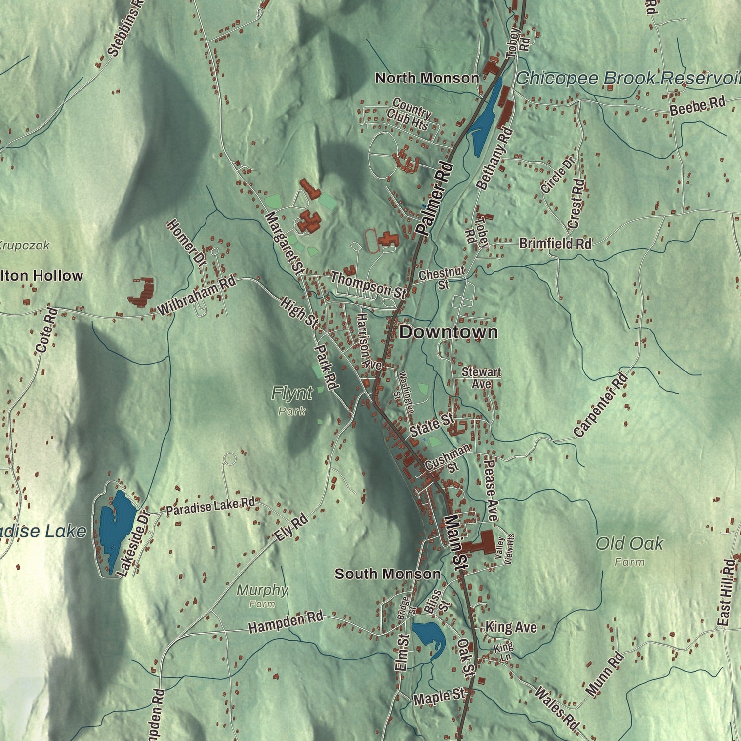 Street and neighborhood detail from the Monson, Massachusetts map