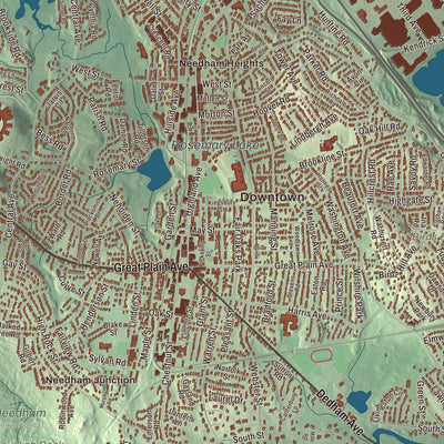 Street and neighborhood detail from the Needham, Massachusetts map