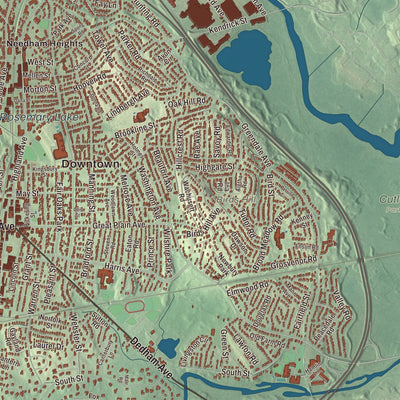 Terrain and local geography detail from the Needham, Massachusetts map