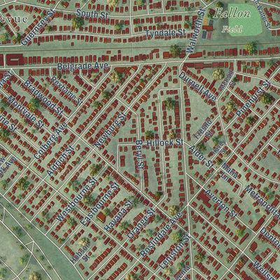 Close-up of the map of Roslindale, Massachusetts print showing street and building detail