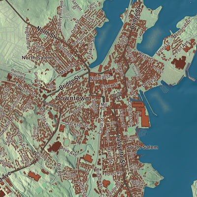 Street and neighborhood detail from the Salem, Massachusetts map