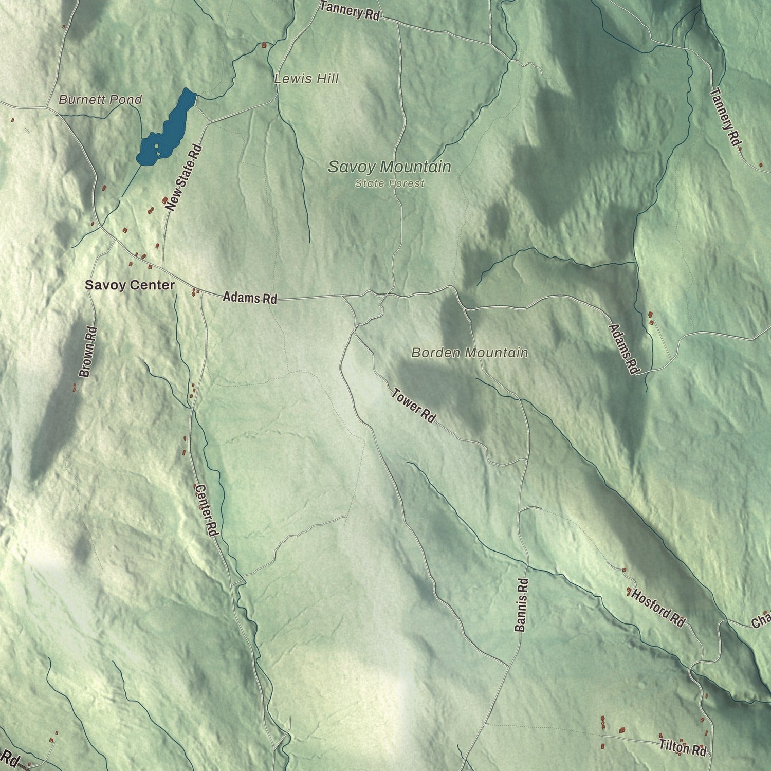 Terrain and local geography detail from the Savoy, Massachusetts map