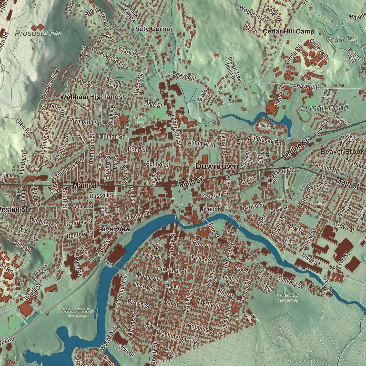 Street and neighborhood detail from the Waltham, Massachusetts map