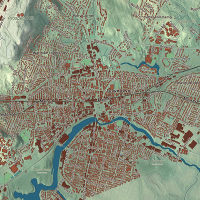 Street and neighborhood detail from the Waltham, Massachusetts map