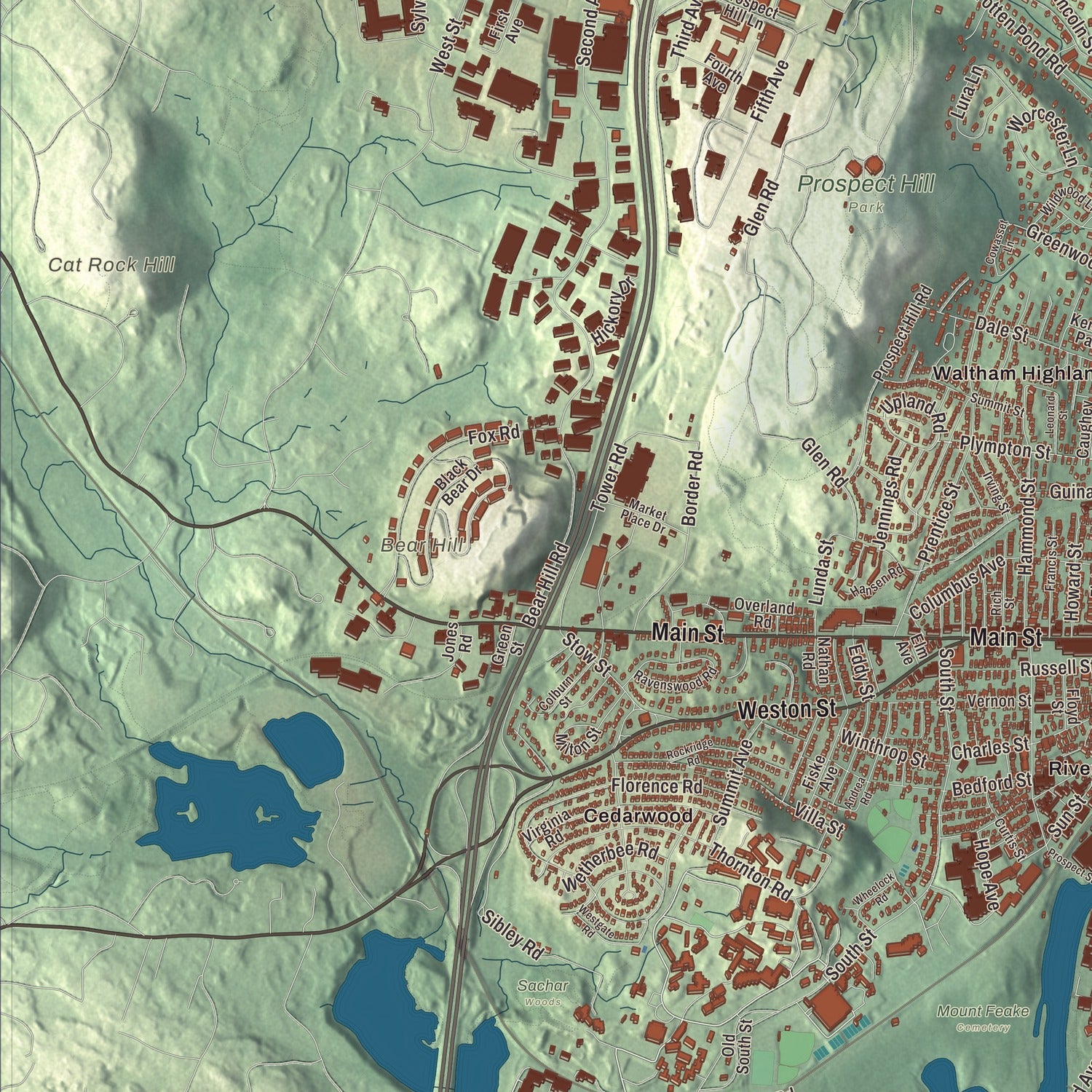 Terrain and local geography detail from the Waltham, Massachusetts map