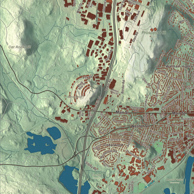 Terrain and local geography detail from the Waltham, Massachusetts map