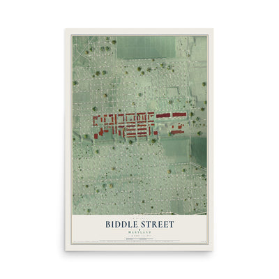 Map of Biddle Street, Maryland, 12 x 18 inch unframed archival matte print