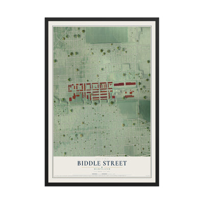 Map of Biddle Street, Maryland, 12 x 18 inch print in a black wood frame