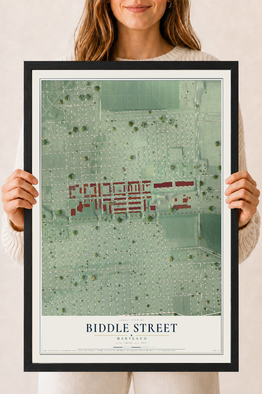 Map of Biddle Street, Maryland, 18 x 24 inch print in a black wood frame