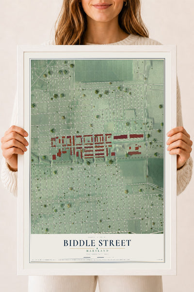 Map of Biddle Street, Maryland, 18 x 24 inch print in a white wood frame