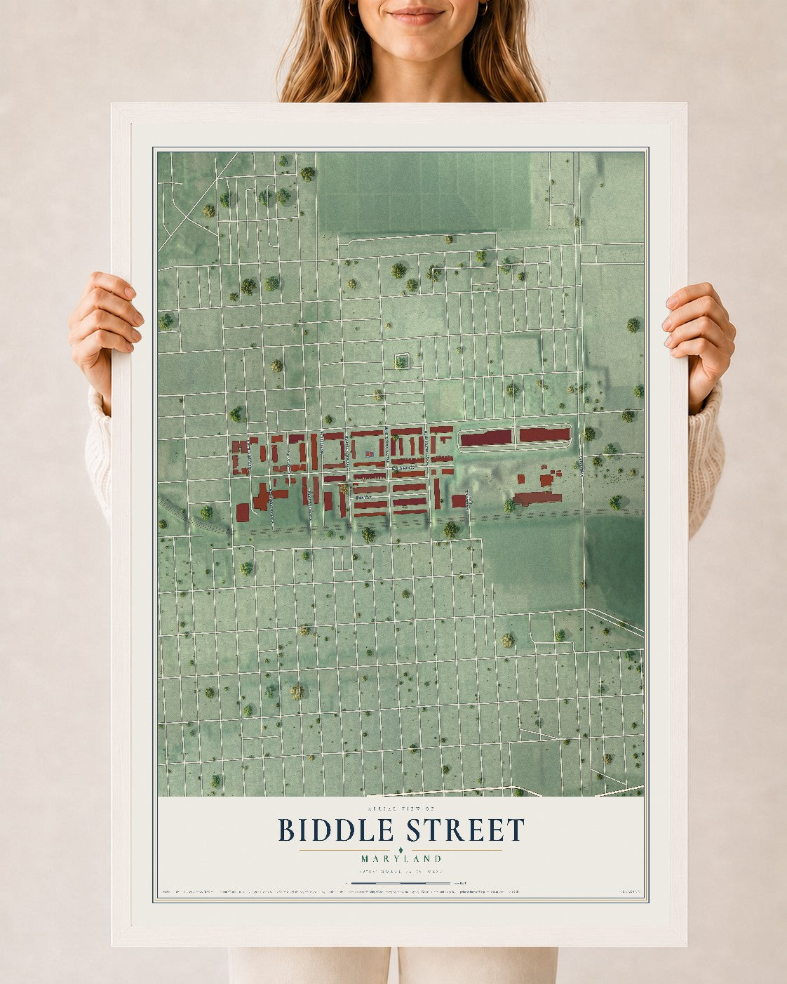 Map of Biddle Street, Maryland, 24 x 36 inch print in a white wood frame