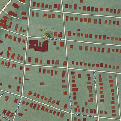 Close-up of the map of Cedmont, Maryland print showing street and building detail