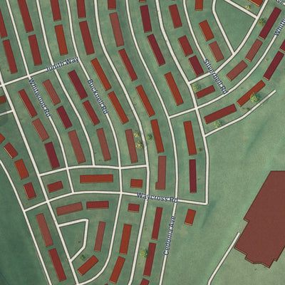 Close-up of the map of Cedonia, Maryland print showing street and building detail