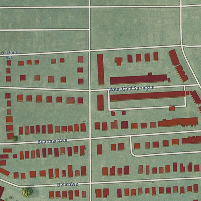 Close-up of the map of Dorchester, Maryland print showing street and building detail
