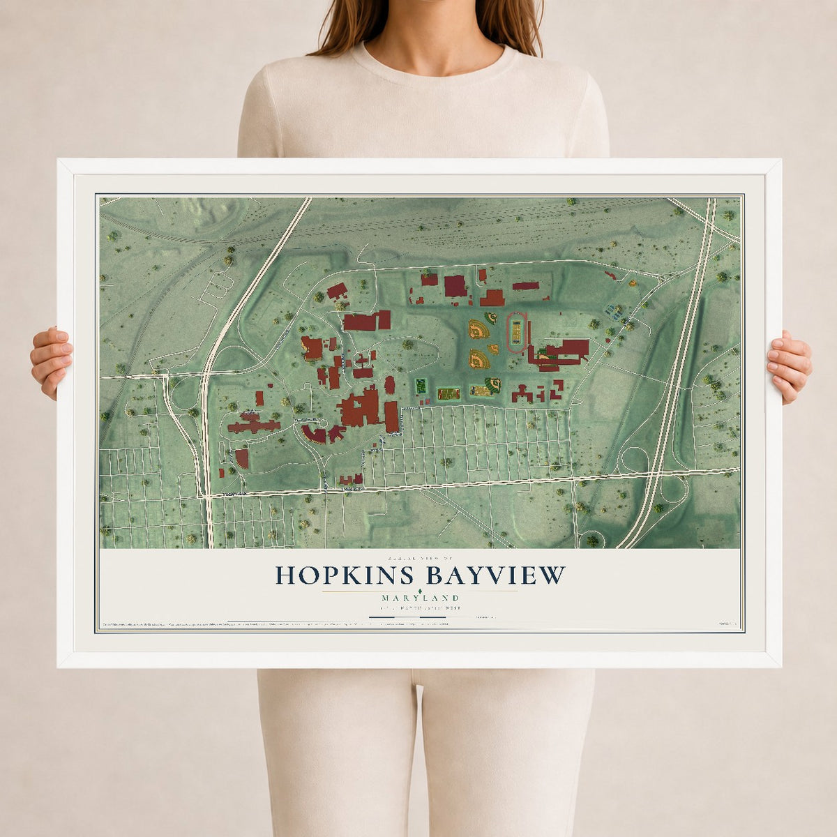 Map of Hopkins Bayview, Maryland, 24 x 36 inch print in a white wood frame