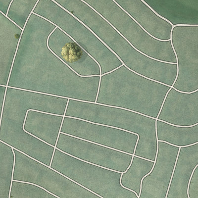 Close-up of the map of Mt Pleasant Park, Maryland print showing street and building detail