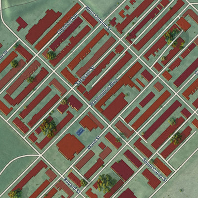 Second close-up of the map of Washington Village-Pigtown, Maryland print showing more streets and buildings