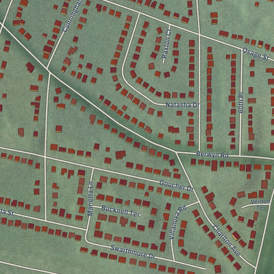Close-up of the map of Berwyn Heights, Maryland print showing street and building detail